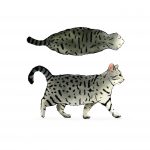 BCS -9 obese cat